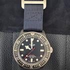 Tudor Pelagos - Image 2