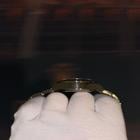 Rolex Explorer II - Image 7